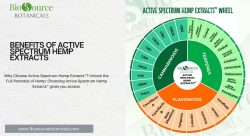 Benefits of Active Spectrum Hemp Extracts