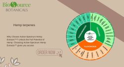 Hemp terpenes