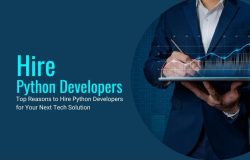 Top Reasons to Hire Python Developers for Your Next Tech Solution