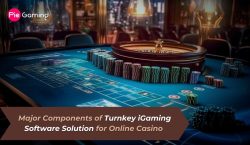 Turnkey iGaming Software Solution