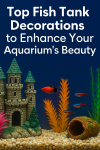 aquarium Supplies