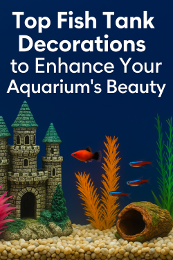aquarium Supplies
