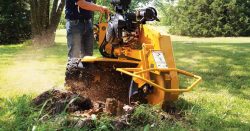commercial stump grinding servces