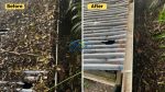 house washing service in tauranga