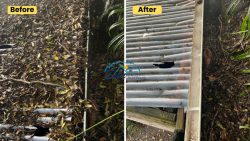 house washing service in tauranga