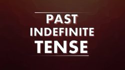 Past Indefinite Tense