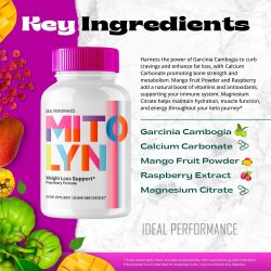 Mitolyn Ingredients
