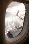 ¿Cómo llamar a American Airlines en español? Servicio al Cliente