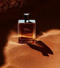 terre d'hermes fragrance