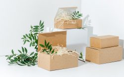 custom printed cbd boxes