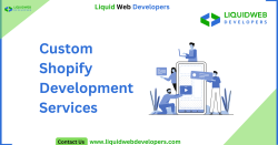 Custom-Shopify-Development-Services