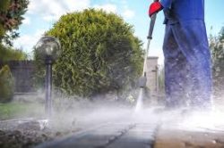 Expert Pressure Washing Services