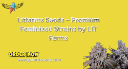 Litfarms Seeds
