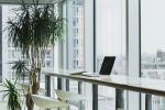 Go to Market consulting