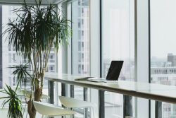 Go to Market consulting