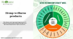 Cannabinoid synergy