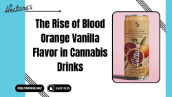 Blood Orange Vanilla flavor