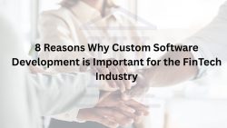 8 Reasons Why Custom Software Development is Important for the FinTech Industry