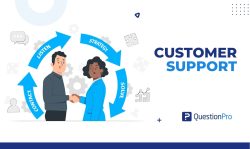 customer-support