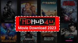 https://hdhub4umovie.co.uk/