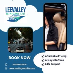 London Minicab service