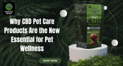 cbd pet care products