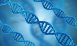 Cell and Gene Therapy Market