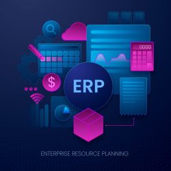 Choosing the Right ERP Software in UAE