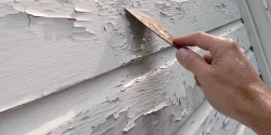 lead paint removal Los Angeles CA