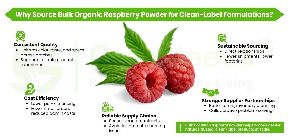 Graphic highlighting benefits of sourcing bulk organic raspberry powder, including quality, sustainability, cost, and supplier partnerships.