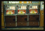 Lotus365 Review 2025: A Trusted Platform for Sports Betting and Online Casino
