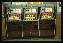 Lotus365 Review 2025: A Trusted Platform for Sports Betting and Online Casino