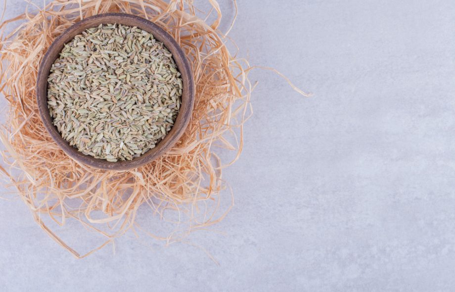 carom seeds benefits