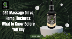 Buy CBD Massage Oil