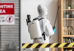 Professional Pest Control in Milngavie