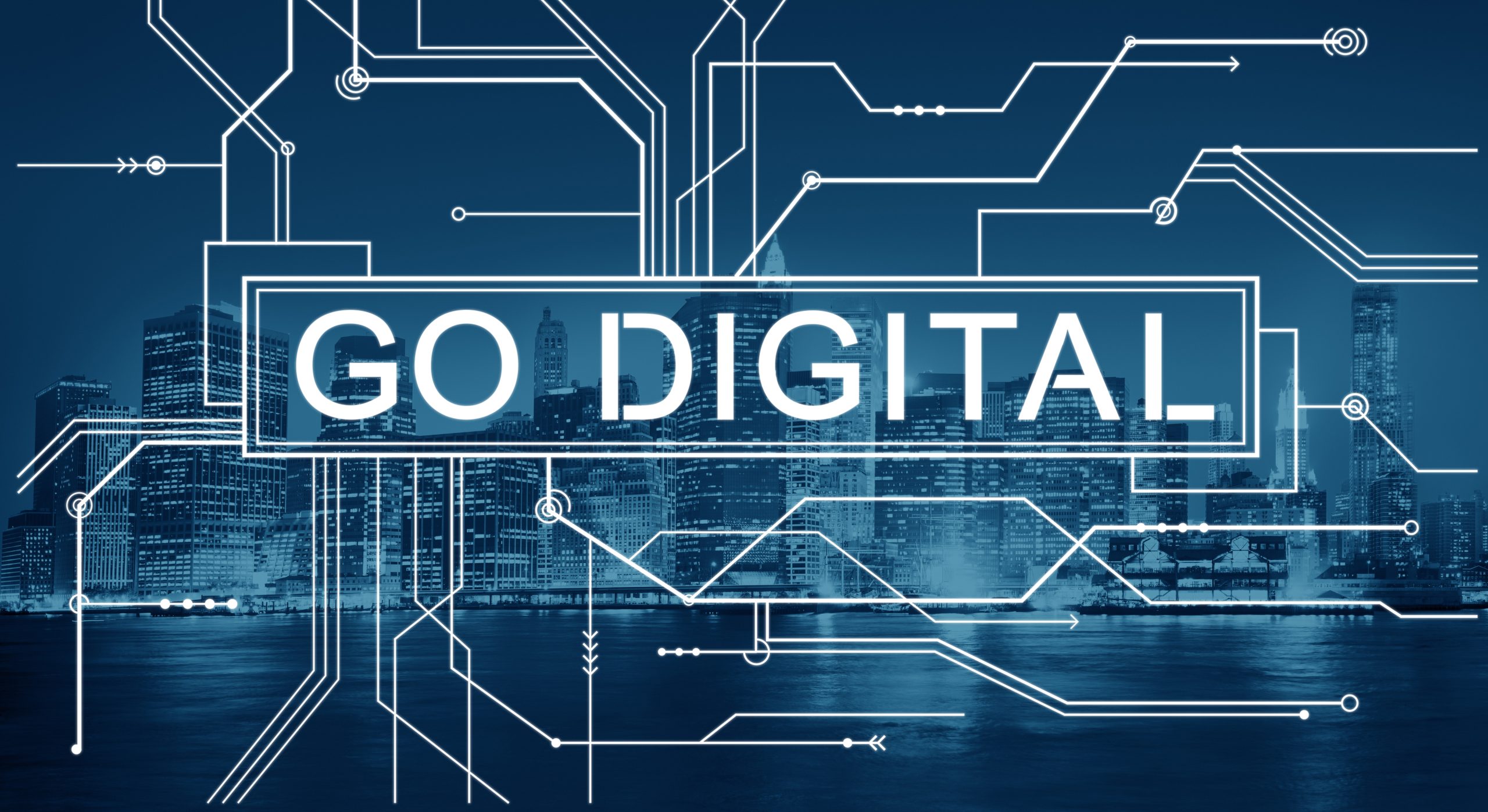 Digitize Development