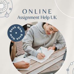 Online Assignment Help