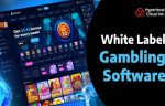 White Label Gambling Provider