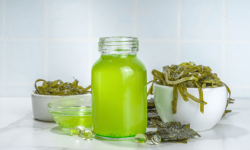 Algae Oil Market