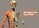 avulsion fracture