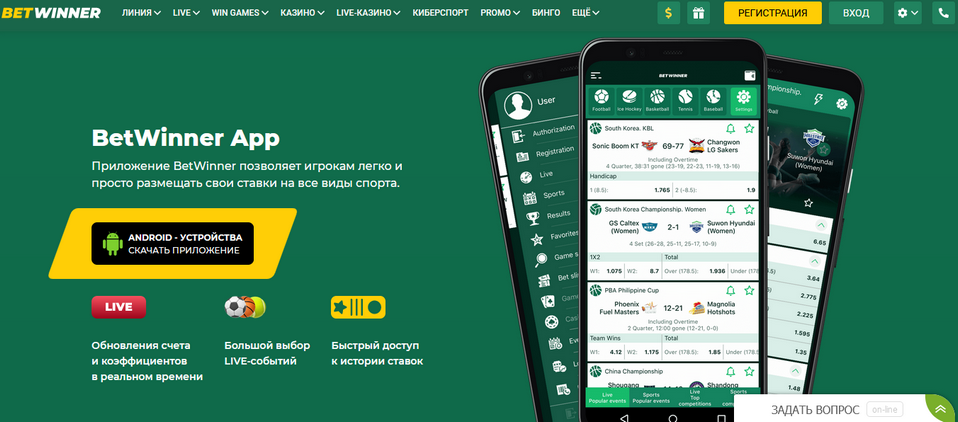 Comprehensive Guide to BetWinner Support 42 Comprehensive Guide to BetWinner Support 42