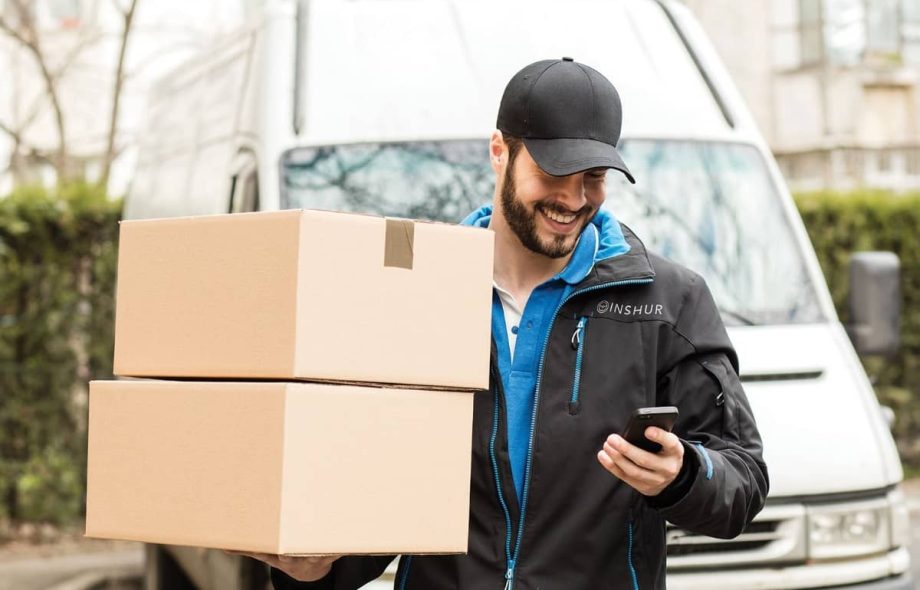 domestic courier