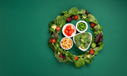 Europe Plant Protein Market