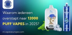 vape 12000 puffs