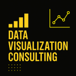 Data Visualization Consulting