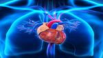 Best Cardiology Device in New Delhi