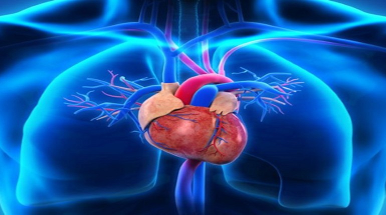 Best Cardiology Device in New Delhi