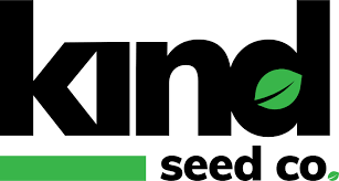 The Ultimate Guide to Blackberry Moonrocks Strain The Ultimate Guide to Blackberry Moonrocks Strain
