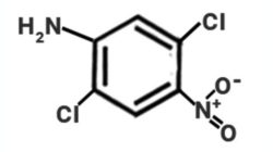 2, 5 Dichloro Aniline [2,5DCA] Manufacturer in India
