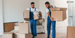 DC Movers